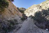 Fall_Creek_Falls_357_01082022 - Julie making the long climb back up to the Big Tujunga Canyon Road