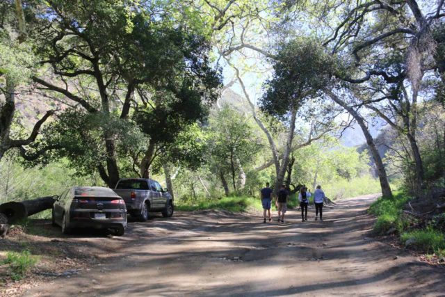 Cañón del Trabuco_Falls_012_02212016 - La carretera de Trabuco Creek no sólo se compartía con otros vehículos de alta capacidad y baches profundos, sino que también se compartía con otros excursionistas