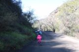Falls_Canyon_Falls_015_02212016 - Walking backwards on Trabuco Creek Road as we were looking for the easiest scramble into the mouth of Falls Canyon