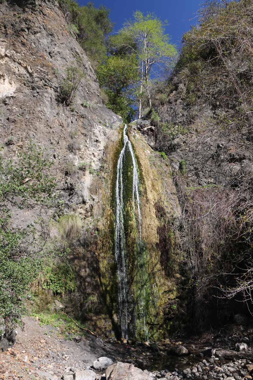 Falls Canyon Falls