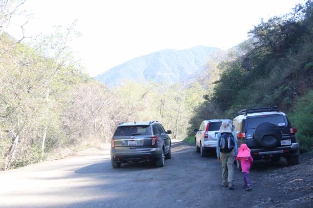 Falls_Canyon_Falls_130_02212016 -. Trabuco Creek Road miała zaskakująco duży ruch jak na tak nierówną drogę