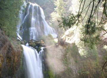 Falls Creek Falls is one of a handful of impressive waterfalls along the Wind River Road north of Carson and the Columbia River Gorge in the Gifford Pinchot National Forest of...