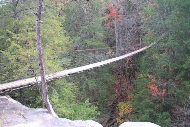 Falls_Creek_Falls_076_20121025 - The swinging bridge over Piney Creek, but it didn't improve the views for Piney Creek Falls