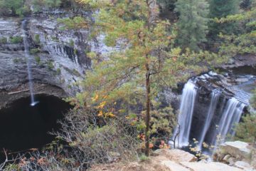 Cane Creek Falls is said to be an 85ft waterfall on Cane Creek, which is responsible for the deep Cane Creek Gorge of which is one of the main features of Falls Creek Falls State Resort Park...