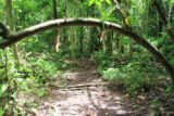 Fautaua_Valley_008_20121214 - Still on the false foot trail
