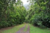 Fautaua_Valley_035_20121214 - Still on the 4x4 road or trail in Fautaua Valley