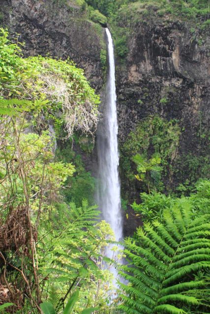 Fautaua_Valley_062_20121214