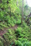 Fautaua_Valley_070_20121214 - The trail continued to narrow and climb beyond the bellevue of Cascade de Fachoda