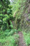 Fautaua_Valley_072_20121214