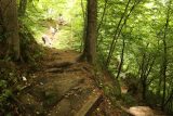 Finsterbach_Waterfalls_048_07112018 - Still climbing higher as I kept going up switchbacks to reach the second Finsterbach Waterfall