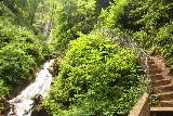 Finsterbach_Waterfalls_129_07112018