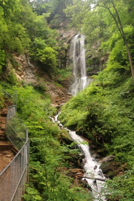 Finsterbach_Waterfalls_140_07112018 - The uppermost of the Finsterbach Waterfalls called Schleierfall