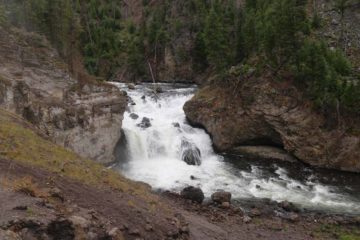 Firehole Falls and the Cascades of the Firehole were two notable waterfalls and cascades amongst a larger series of pretty impressive waterfalls on the Firehole River.  They were two of the more...