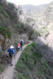 Fish_Canyon_Falls_067_02132016 - The Fish Canyon Falls Trail continues to get narrow in spots