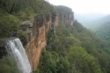 Fitzroy Falls dazzled Julie and I with its impressive flow (despite the drought during our November 2006 trip to Southeastern Australia) and dramatic cliffside free-fall, which we were able to...