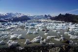 Fjallsarlon_133_08082021 - Another look across the jumble of icebergs floating towards the shore of Fjallsarlon