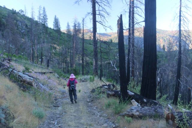 Foresta_Falls_025_06162017 - Mom hiking to Foresta Falls while traversing through an area devastated by the A-Rock Fire that took place back in 1990