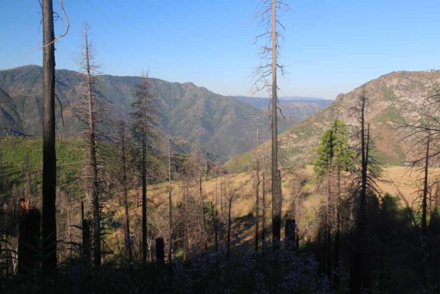 Foresta_Falls_097_06162017 - Looking down towards Merced Canyon through the ghostly remnants of trees left bare from the A-Rock Fire in 1990