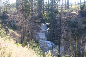 Foresta_Falls_100_06162017