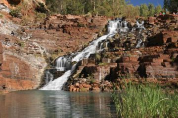 Fortescue Falls seemed to Julie and I to be a tropical oasis in the middle of the remote and unforgiving desert-like Pilbara Region.  What made this oasis so picturesque in our minds was the...