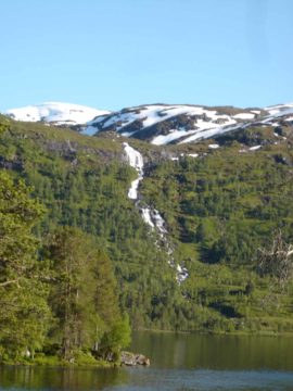 Fossestein_005_jx_06292005