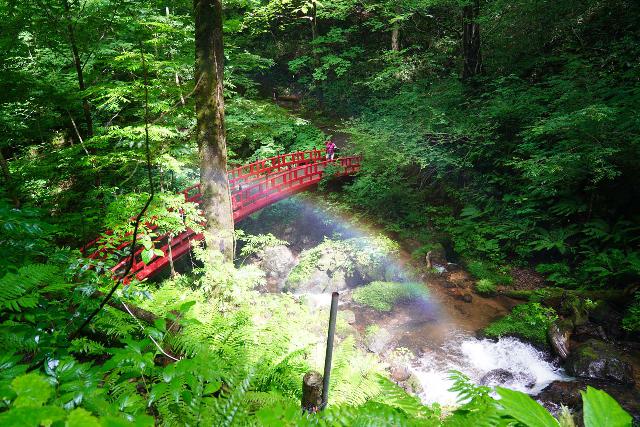 Fudo_Falls_066_07192023 - Looking down at the bridge over the Kunitarusawa Stream with a rainbow in the mist coming from the Hachimantai Fudo Falls