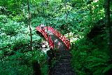Fudo_Falls_082_07192023 - Approaching the red-railed bridge fronting the Hachimantai Fudo Falls