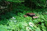 Fudo_Falls_124_07192023 - An interesting picnic table among quite a bit of overgrowth as seen on the return walk from the Fudo Falls