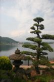 Fuji_140_05262009 - Some interesting trees seen alongside the Kawaguchiko Lake
