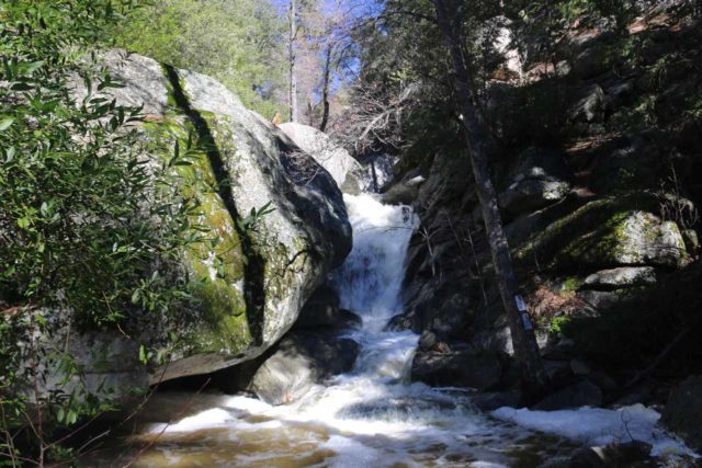 Fuller_Mill_Creek_Falls_025_02122017 - Fuller Mill Creek Falls