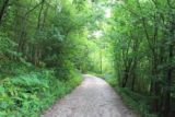 Gaping_Gill_009_08162014 - Passing through the serene forested settings of the Ingleborough Estate Nature Trail