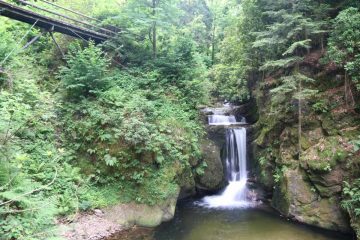 Geroldsau_Waterfall_036_06222018