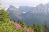 Glacier_NP_17_047_08052017 - Broad view towards the context of Bird Woman Falls and mountains with glaciers fronted by wildflowers by the Going to the Sun Road