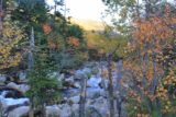 Glen_Ellis_Falls_003_10012013 - Nice Fall foliage while hiking to Glen Ellis Falls