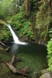 Goldstream_Falls_030_08032017 - After a little scrambling, I managed to get this more direct look at the Goldstream Falls and its plunge pool, which seemed idyllic for some water play