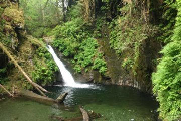 Goldstream Falls (also called the Upper Goldstream Falls) was a small waterfall that seemed more suitable for playing (as evidenced by some sand toys left creekside during my visit) as well as...