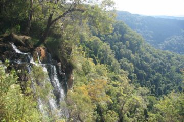 Goomoolahra Falls (or Bilborough's Falls) was one of those look-but-don't-touch type waterfalls that we took the time to visit as we extended our time in Springbrook National Park after having...