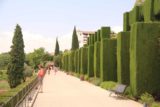 Granada_823_05282015 - Walking the extensive gardens of the Alhambra as we were approaching the Generalife
