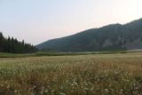 Grassy_Lake_Rd_17_006_08122017 - Looking over a blooming field of wildflowers while looking over this meadow along the Grassy Lake Road
