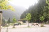 Grawafall_086_07202018 - A stray cow grazing amongst some grass and planters in a mostly empty car park before the tunnel leading to the Grawa-alm and beyond