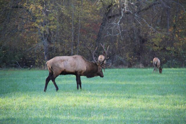 appalachian road trip ideas