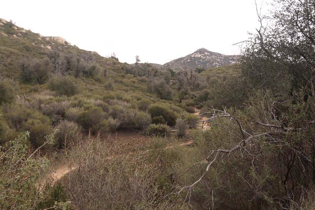 Green_Valley_Falls_127_02102019 - Context of the East Mesa Trail, which paralleled the Hwy 79 but was a far quieter and more atmospheric walk to reach the Green Valley Campground entrance