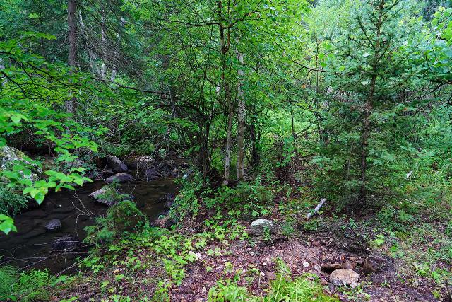 De bushwhack op zoek naar Grizzly Bear Falls in South Dakota, waar al het natte gebladerte ervoor zorgde dat er water in de Salomon Quest 4D 3 GTX laars kwam zonder dat ik ook maar in een diep deel van de beek hoefde te stappen