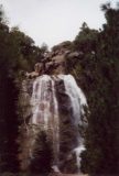 Grizzly_Falls_001_scanned_04272002
