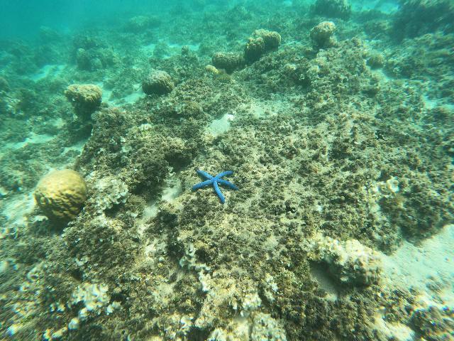This was one of the last images taken by our GoPro before it died during this snorkeling tour in Guam