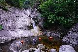 Guryong_220_06132023 - More angled look at the main drops of the Guryong Falls