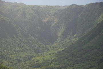 Hipuapua Falls is the other of two major waterfalls at the head of Halawa Valley.  This gorgeous 500ft waterfall is harder to hike to (I was told by the guide that they don't...