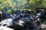 Hanakapiai_Falls_125_11192021 - This was the first crossing of Hanakapi'ai Stream since deviating from the Kalalau Trail