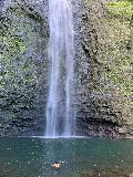 Hanakapiai_Falls_hike_036_iPhone_11192021 - One person swimming in the large plunge pool before Hanakapi'ai Falls