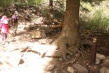 Hanging_Lake_081_04182017 - This was the first of the quarter-mile posts on the ascent up to Hanging Lake.  This number pertained to the distance from the start of the ascent back at the bridge and not the overall hike to this point